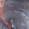 IMG_20160419_181422.jpg